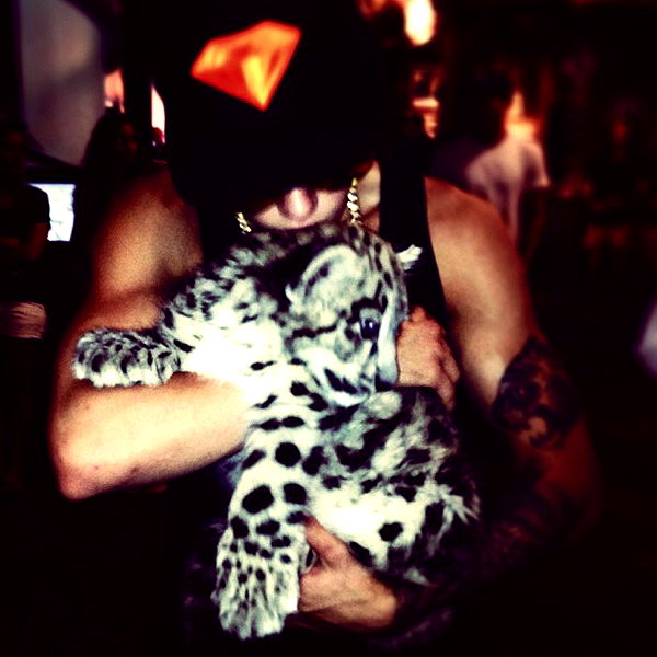 lilbieber instagram image archive image