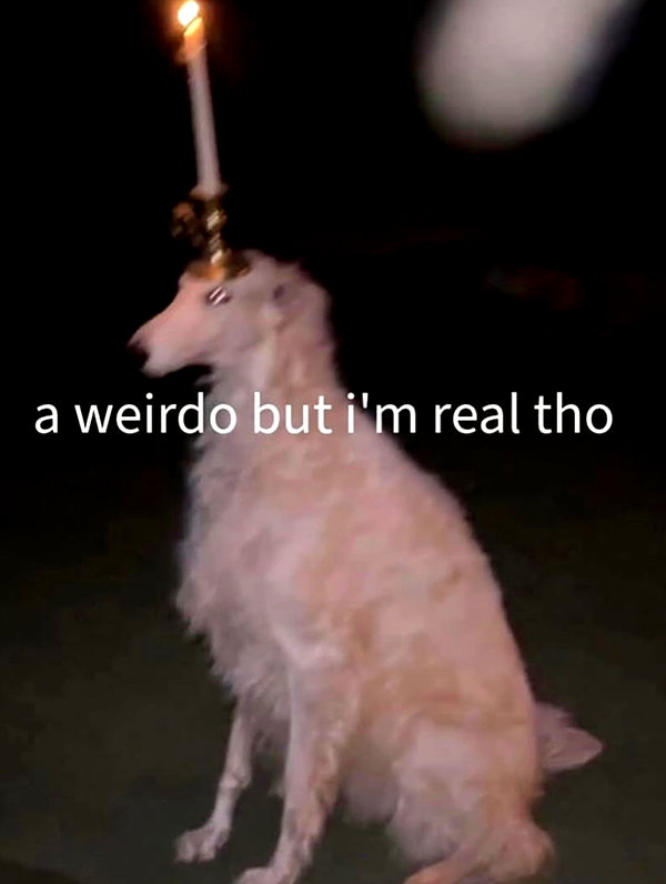 ellaexplicit_ instagram image archive image