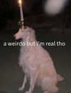 ellaexplicit_ Altpins Profile Picture