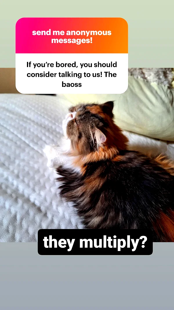 mirekyarahire instagram image archive image