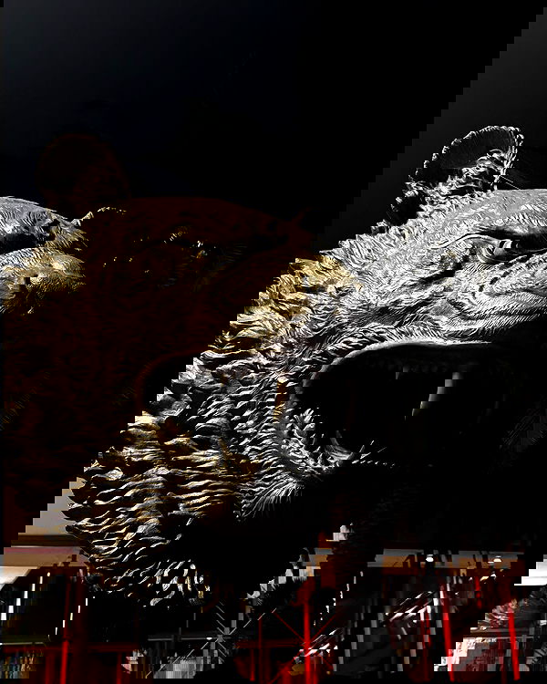 giuliahere giuliahere archive image