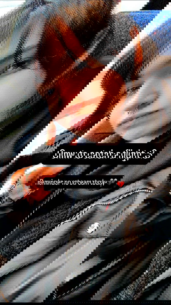 chibinekopurr chibinekopurr archive image