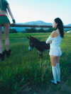 ch111oe Altpins Profile Picture