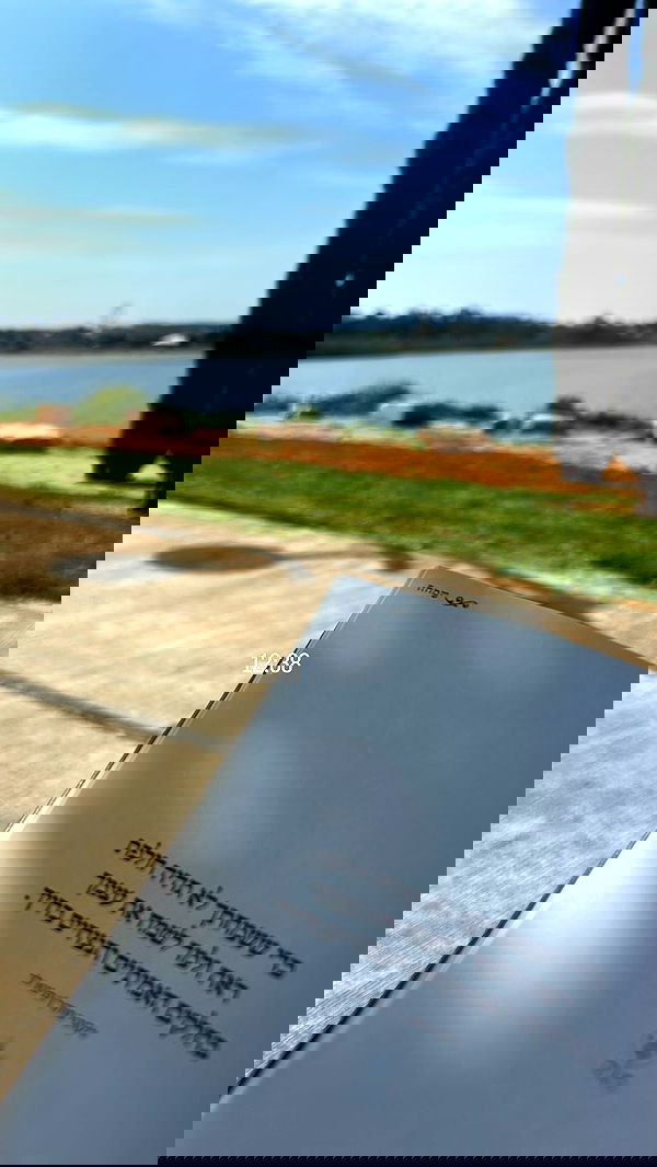 larin_manor1 larin_manor1 archive image