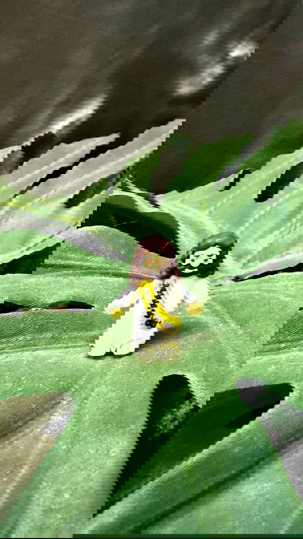 haylujan haylujan archive image