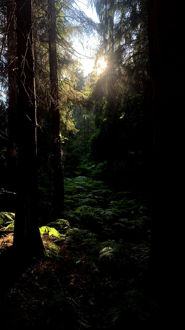 mollieruck instagram image archive image
