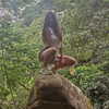 andreeamariavinatoru Altpins Profile Picture