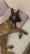 alma.almog Altpins Profile Picture