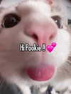 milkiwifey Altpins Profile Picture