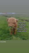 babynympho_archive Altpins Profile Picture