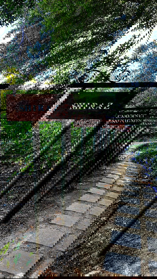 taylor.creeden taylor.creeden archive image