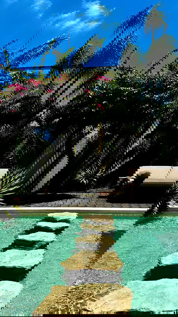 taylor.creeden taylor.creeden archive image