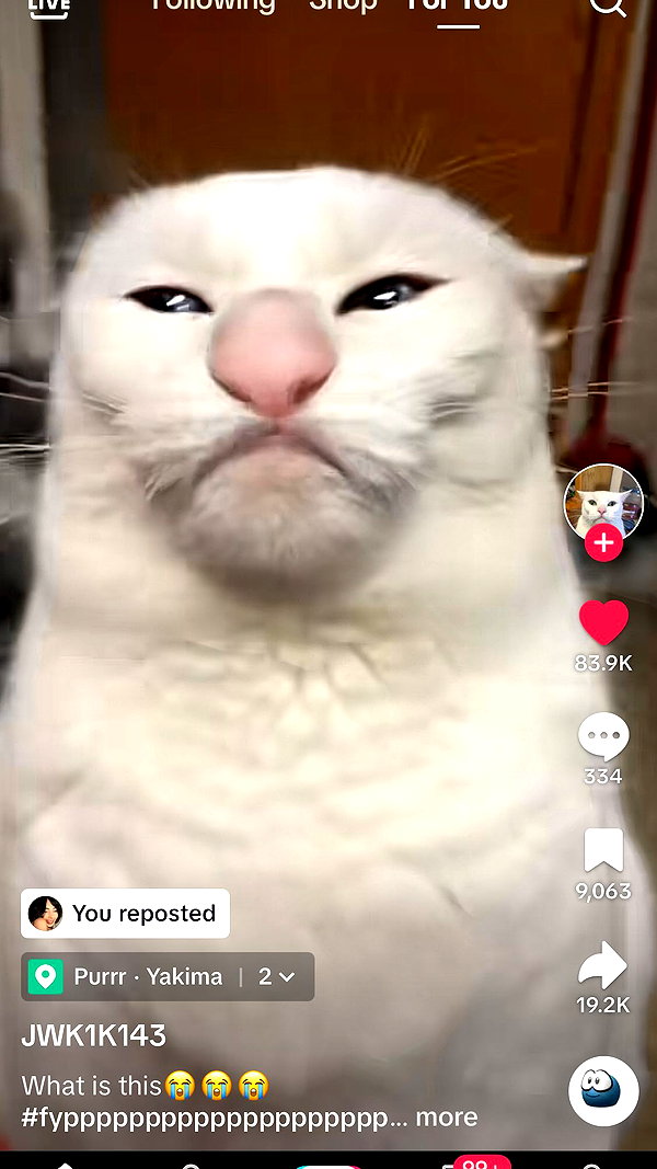 Archived image from @starberrymali on Instagram