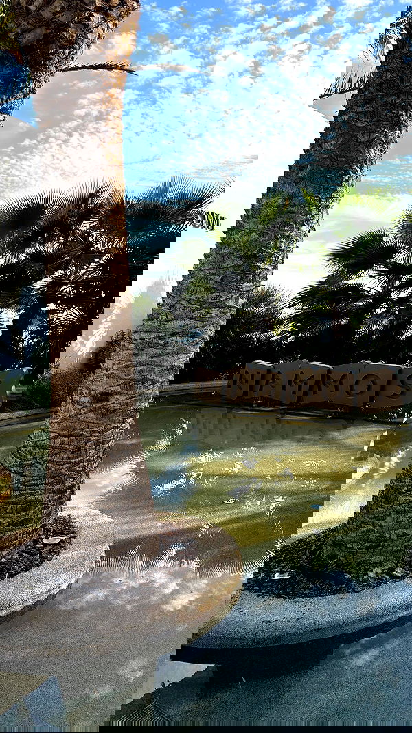 noammalka___ noammalka___ archive image