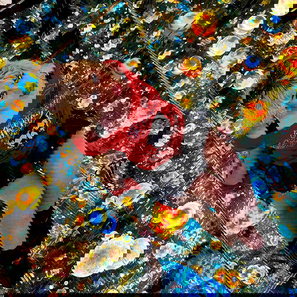 ormosheee ormosheee archive image