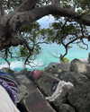 daisy_r_19 Altpins Profile Picture