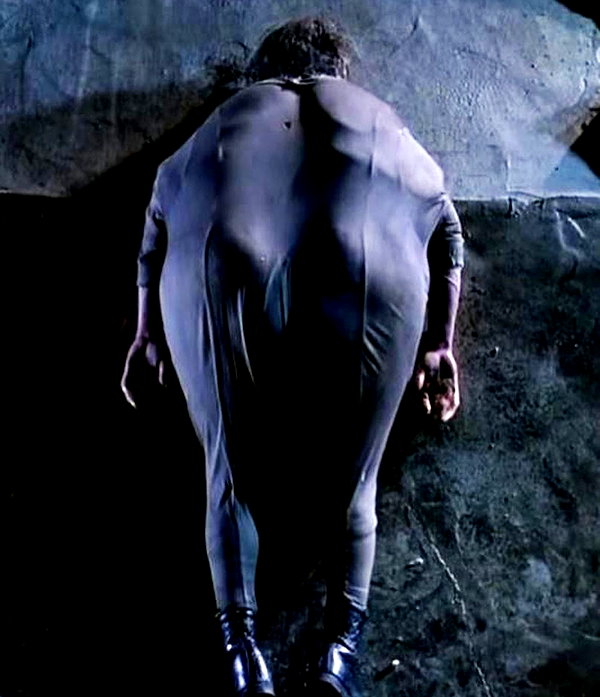bugz4brainz instagram image archive image