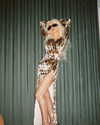 xtina Altpins Profile Picture