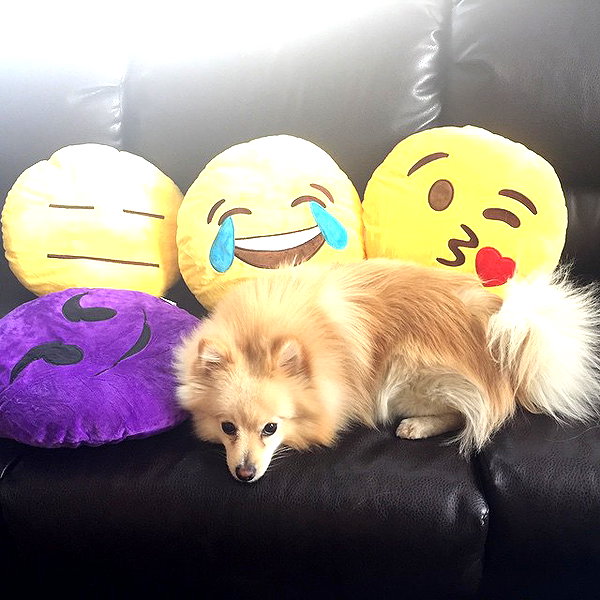 sssniperwolf instagram image archive image