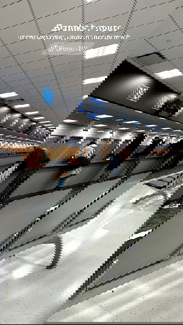 biton__adi biton__adi archive image