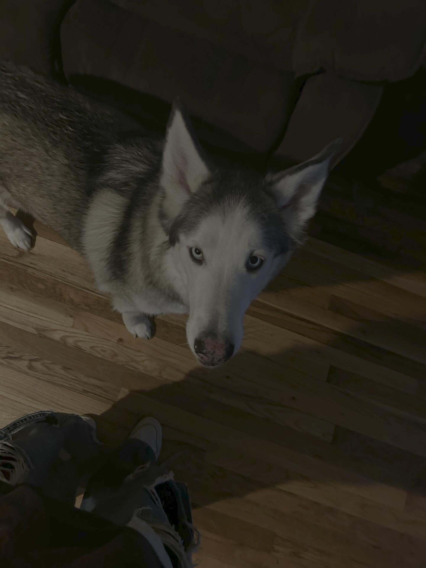 _animechika_ instagram image archive image