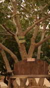 hadas_mayer_ Altpins Profile Picture