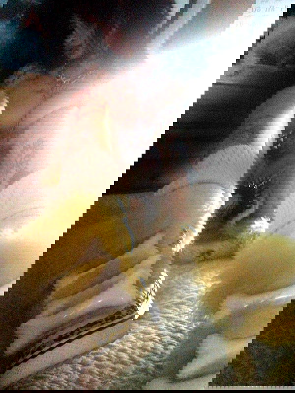 zommmbri zommmbri archive image