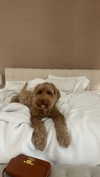 sophiecharlotth Altpins Profile Picture
