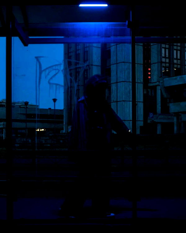 dwpolin instagram image archive image