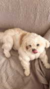 romitalblt Altpins Profile Picture