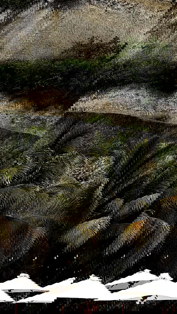 taylor.creeden taylor.creeden archive image