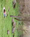 adyanacovelli Altpins Profile Picture