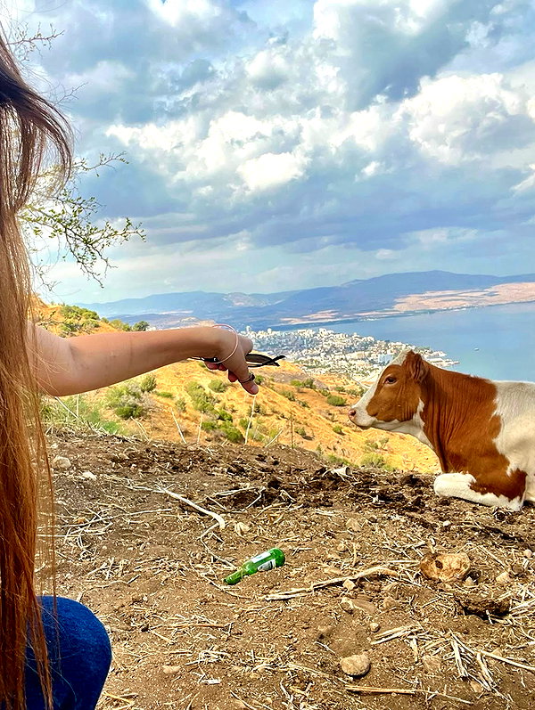 yaarat11 instagram image archive image