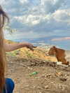 yaarat11 Altpins Profile Picture