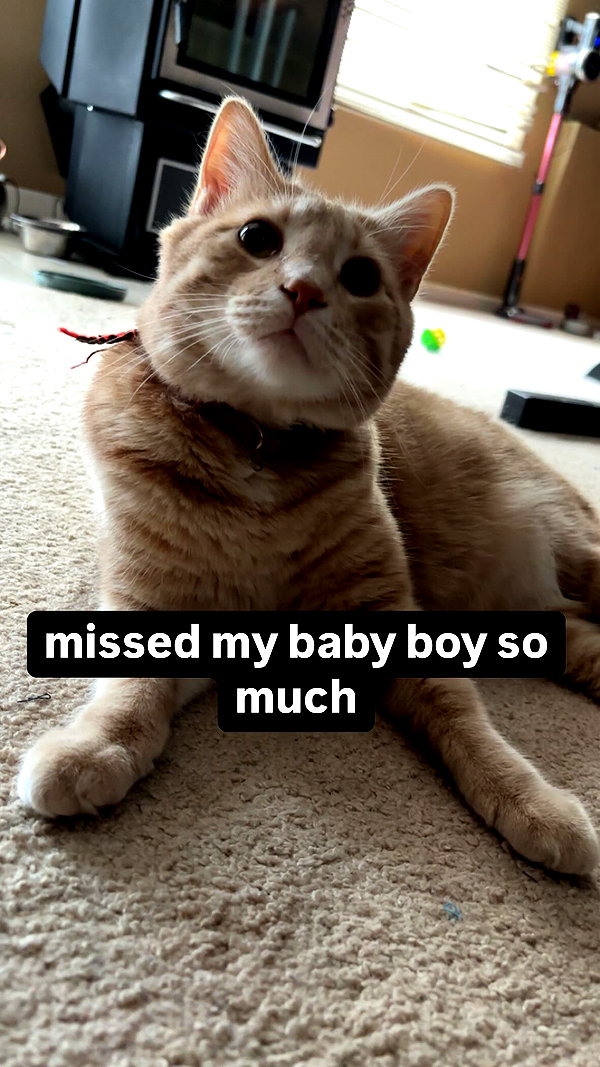 malmalirl instagram image archive image