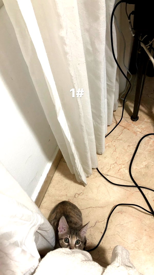 Archived image from @notchicore on Instagram