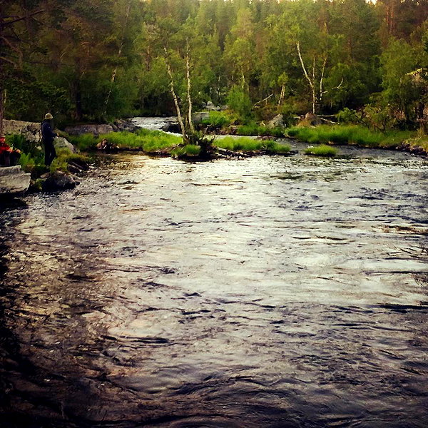 thenerdforge instagram image archive image