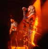 cannonstheband Altpins Profile Picture