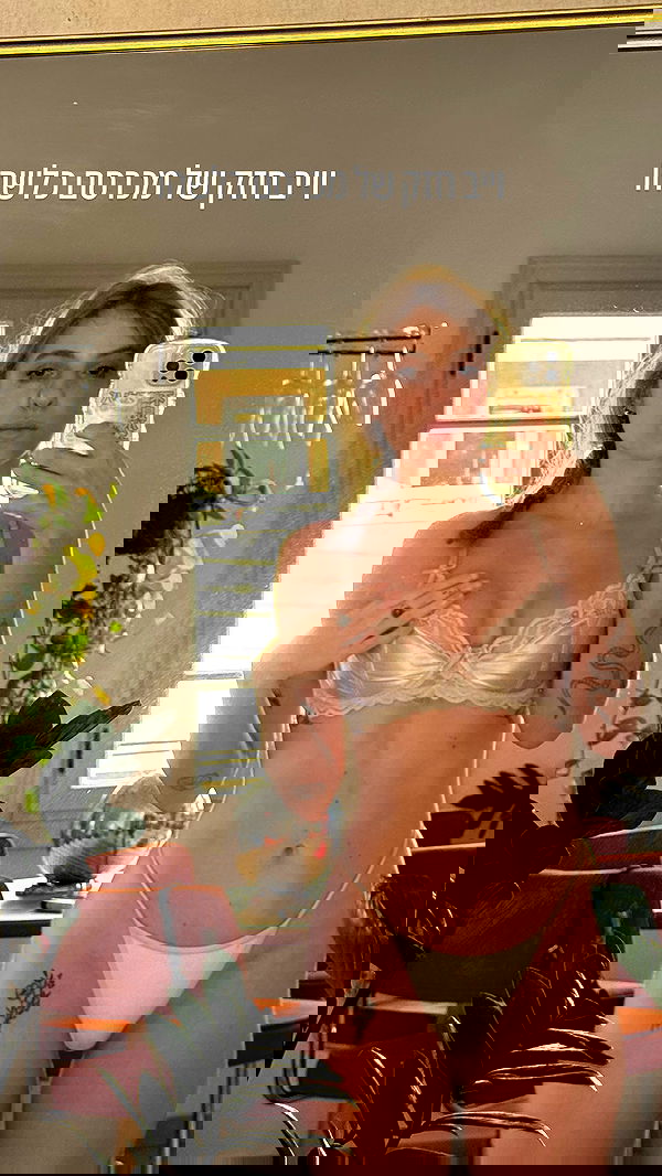 iambohema.v2 iambohema.v2 archive image