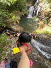 mosssaico Altpins Profile Picture