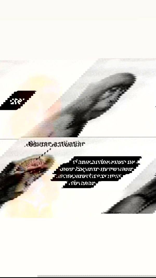 moonliliaght moonliliaght archive image