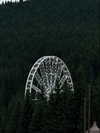 tori_t96 Altpins Profile Picture