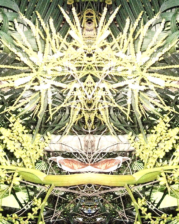 lolontlia instagram image archive image