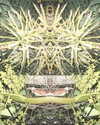 lolontlia Altpins Profile Picture