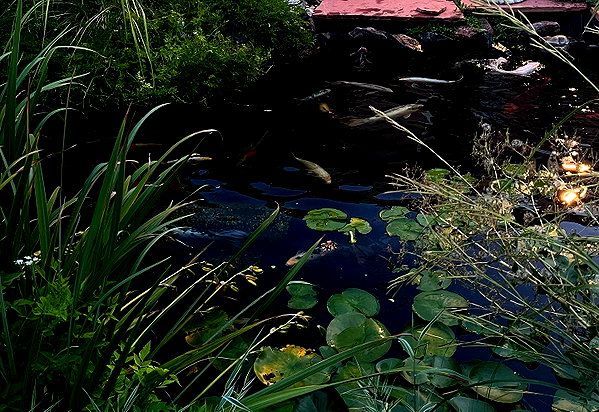 crocodile.notes instagram image archive image