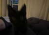 luckyme483 Altpins Profile Picture