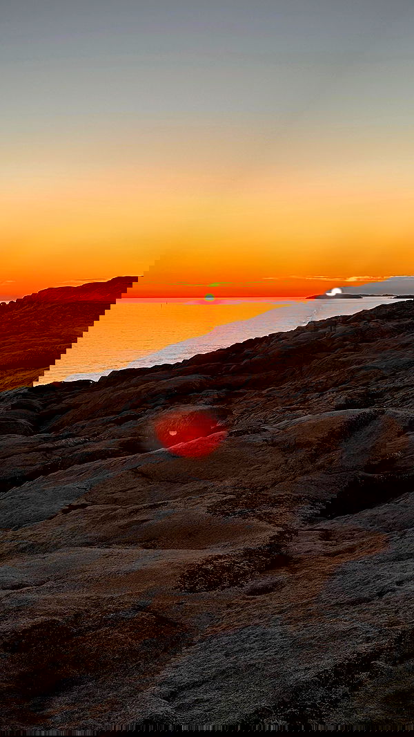 taylor.creeden taylor.creeden archive image