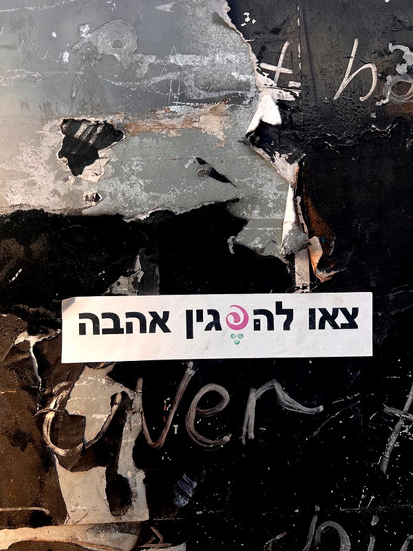 yuval_raz instagram image archive image