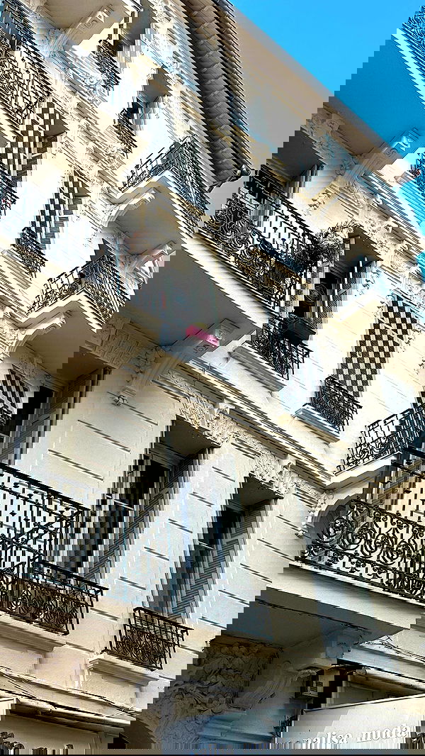 taylor.creeden taylor.creeden archive image