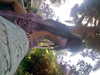 leonanaomii Altpins Profile Picture